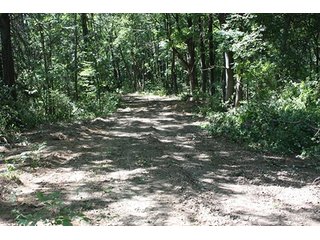 Property photo 44 - 419 +/- Acres offered in 6 Tracts, Land Auction